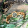 Montre en bois – modèle Sylva