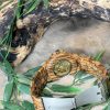 Montre en bois – modèle Woodland